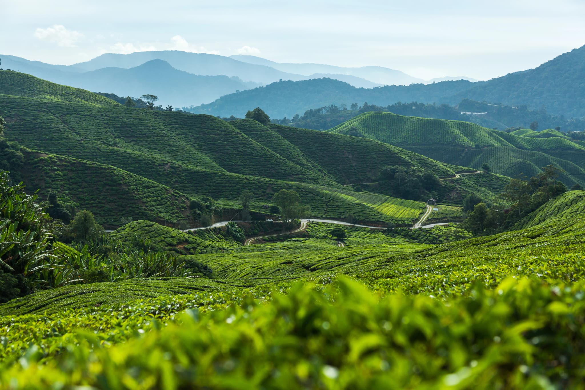 /images/backgrounds/bg-journey.webp